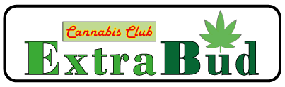 Cannabis Club Bilk e.V.